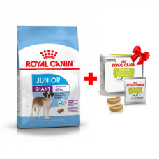 Акція! Корм для молодих собак ROYAL CANIN GIANT JUNIOR 15 кг + пакування ласощі EDUC в подарунок