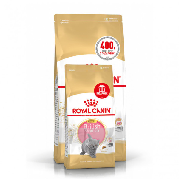 Купити Акція! Корм для кошенят ROYAL CANIN KITTEN BRITISH SHORTHAIR 2 кг + 400 г у подарунок
