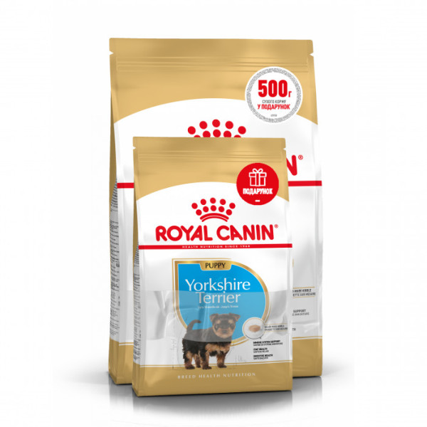 Купити Акція! Корм для цуценят ROYAL CANIN YORKSHIRE PUPPY 1.5 кг + 500 г у подарунок