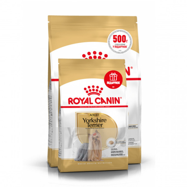 Купити Акція! Корм для дорослих собак ROYAL CANIN YORKSHIRE ADULT 1.5 кг + 500 г у подарунок