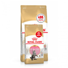 Акція! Корм для кошенят ROYAL CANIN MAINECOON KITTEN 2 кг + 400 г у подарунок
