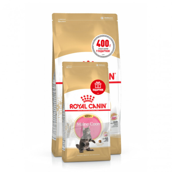 Купити Акція! Корм для кошенят ROYAL CANIN MAINECOON KITTEN 2 кг + 400 г у подарунок