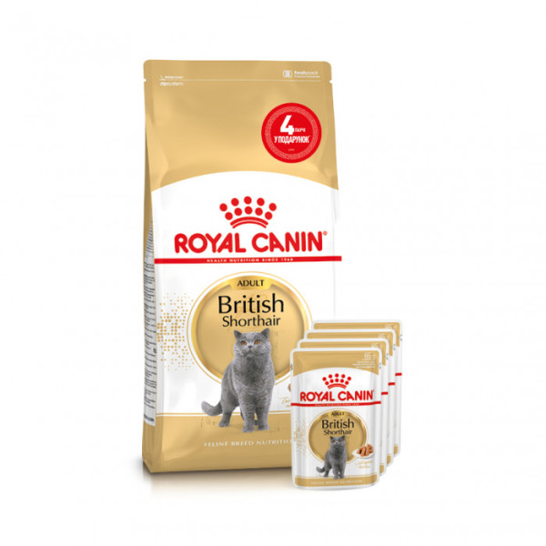 Купити Акція ! Корм для дорослих котів ROYAL CANIN BRITISH SHORTHAIR ADULT 2 кг + 4 шт вологого корму в подарунок !