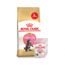 Акция ! Корм для кошенят ROYAL CANIN MAINECOON KITTEN 2 кг + 4 шт вологого корму в подарунок !