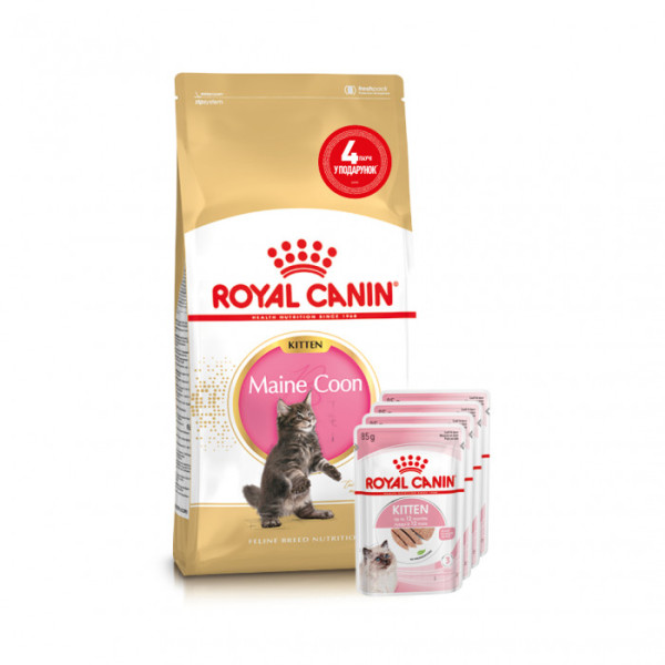 Купити Акция ! Корм для кошенят ROYAL CANIN MAINECOON KITTEN 2 кг + 4 шт вологого корму в подарунок !