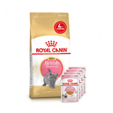 Акция ! Корм для кошенят ROYAL CANIN KITTEN BRITISH SHORTHAIR 2 кг + 4 шт вологого корму в подарунок !