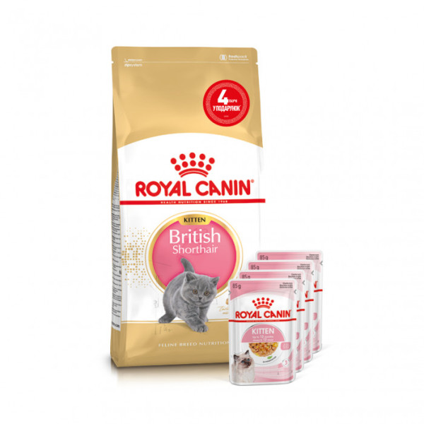 Купити Акция ! Корм для кошенят ROYAL CANIN KITTEN BRITISH SHORTHAIR 2 кг + 4 шт вологого корму в подарунок !