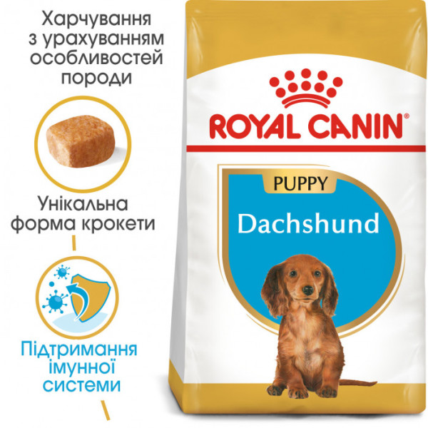 Купити Корм для цуценят ROYAL CANIN DACHSHUND PUPPY 1.5 кг