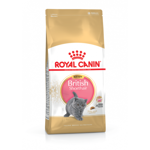 Купити Корм для кошенят ROYAL CANIN KITTEN BRITISH SHORTHAIR 10 кг
