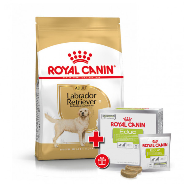 Купити Корм для дорослих собак ROYAL CANIN LABRADOR ADULT 12 кг + EDUC 30 шт у подарунок