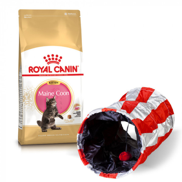 Купити Корм для кошенят ROYAL CANIN MAINECOON KITTEN 2.0 кг + тунель-іграшка