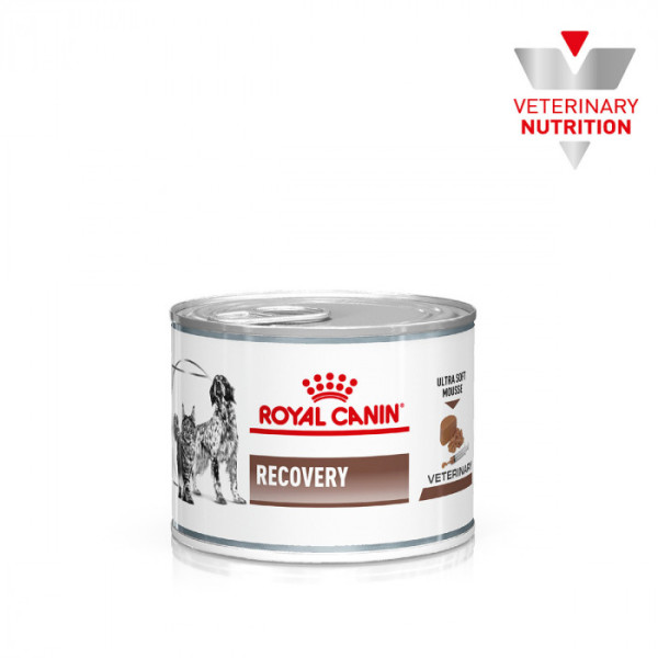 Купити Вологий корм для котів та собак в період реабілітації Royal Canin Recovery 195 г (домашній птах)