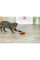 Іграшка для котів Trixie Squirrel 24 см