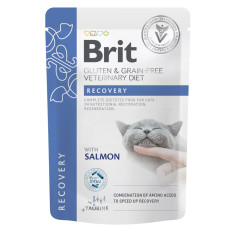 Вологий корм для котів Brit GF VetDiet Recovery pouch 85 г - лосось 12шт