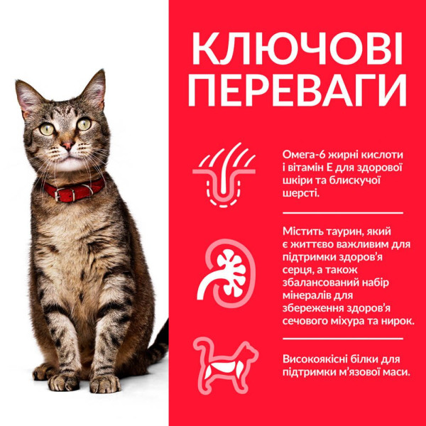 Сухий корм для котів Hill's Science Plan Adult 300 г - ягня