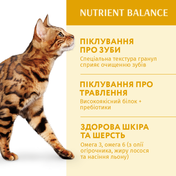 Сухий корм для дорослих котів Optimeal 4 кг - курка