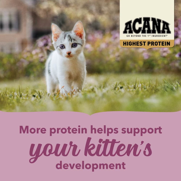Сухий корм для кошенят Acana Highest Protein Kitten 1,8 кг - асорті