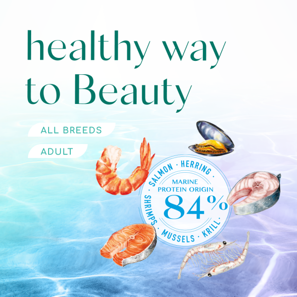 Сухий корм для котів Optimeal Beauty Podium Shiny Coat & Dental Care 1.5 кг - морепродукти