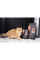 Сухий корм для котів Savory Adult Cat Steril Fresh 2 кг - ягня та курка