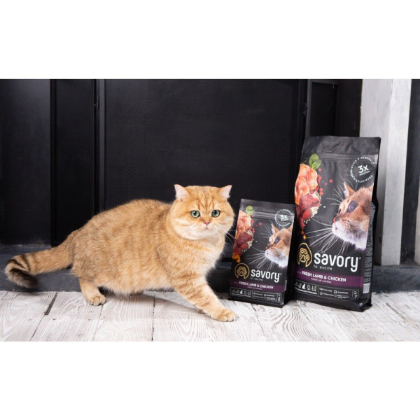 Сухий корм для котів Savory Adult Cat Steril Fresh 8 кг - ягня та курка