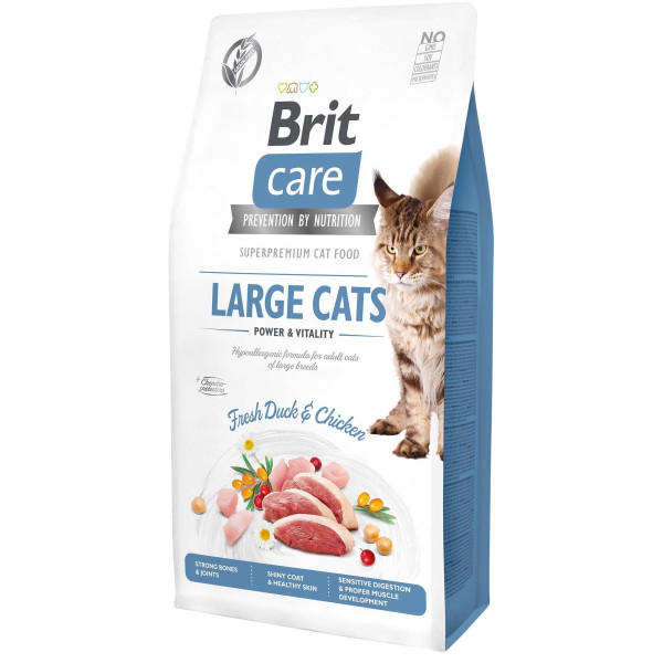 Сухий корм для котів великих порід Brit Care Cat GF Large cats Power & Vitality 7 кг - курка і качка