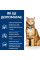 Сухий корм для котів Hill’s Prescription Diet Urinary Care c/d Multicare 1,5 кг - курка