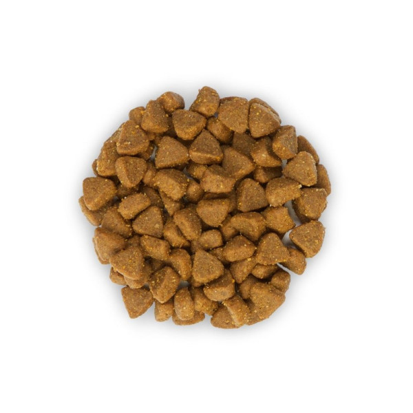 Сухий корм для кошенят Hill's Science Plan Kitten 1,5 кг - курка