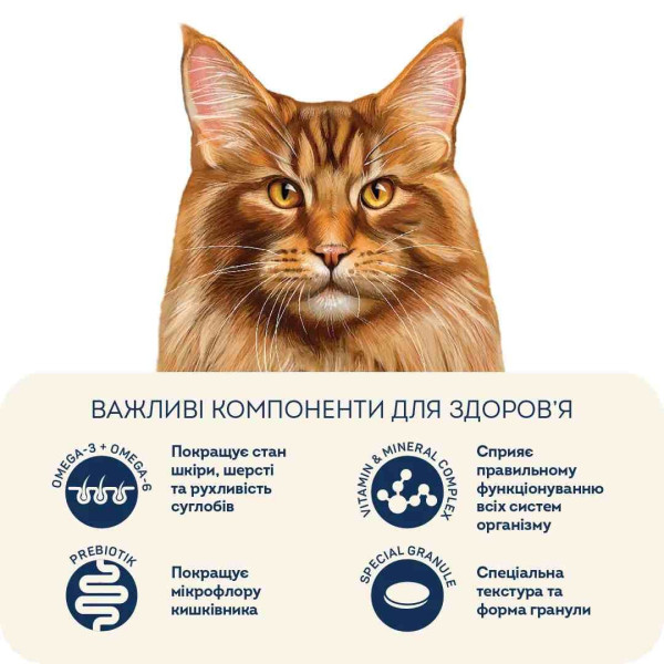Сухий корм для котів Home Food Adult Large Breed 1,6 кг - телятина та лосось