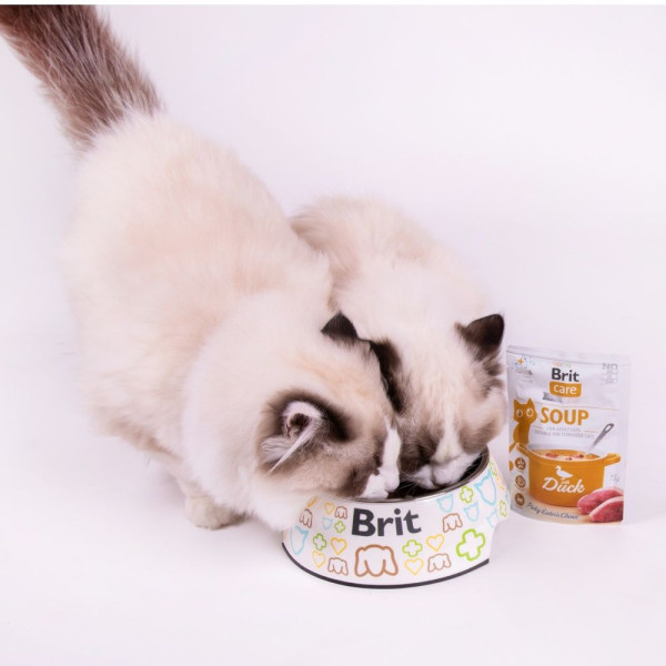 Вологий корм для котів Brit Care Soup pouch 75 г - качка 15шт