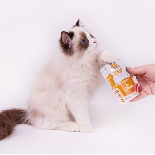 Вологий корм для котів Brit Care Soup pouch 75 г - качка 15шт
