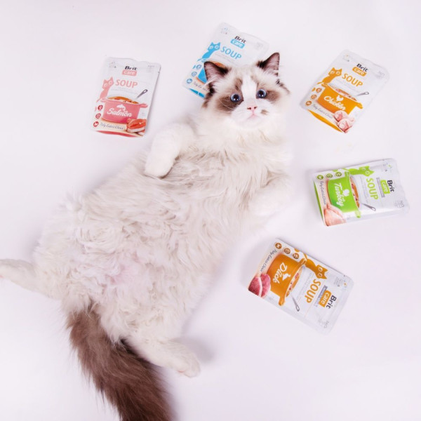 Вологий корм для котів Brit Care Soup pouch 75 г - лосось 15шт