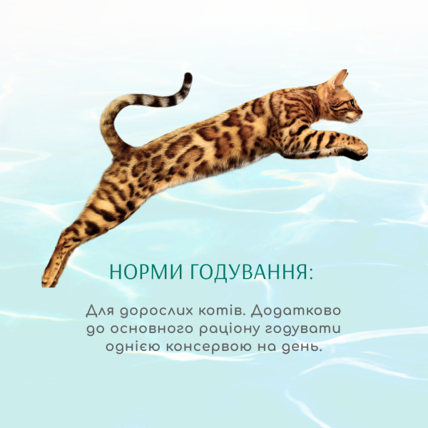Вологий корм для котів Optimeal Beauty Fitness 70 г (тунець з креветками)