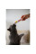 Ласощі для котів GimCat Multi-Vitamin Paste Extra 100 г - мультивітамін