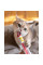 Ласощі для котів GimCat Multi-Vitamin Paste Extra 100 г - мультивітамін