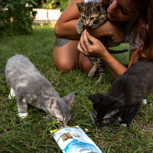 Ласощі для кошенят GimCat Every Day Kitten 40 г - асорті
