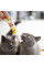 Ласощі для котів GimCat Duo Paste Multi-vitamin 12 vitamins 50 г - сир