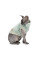 Светр для котів Pet Fashion Tim XS