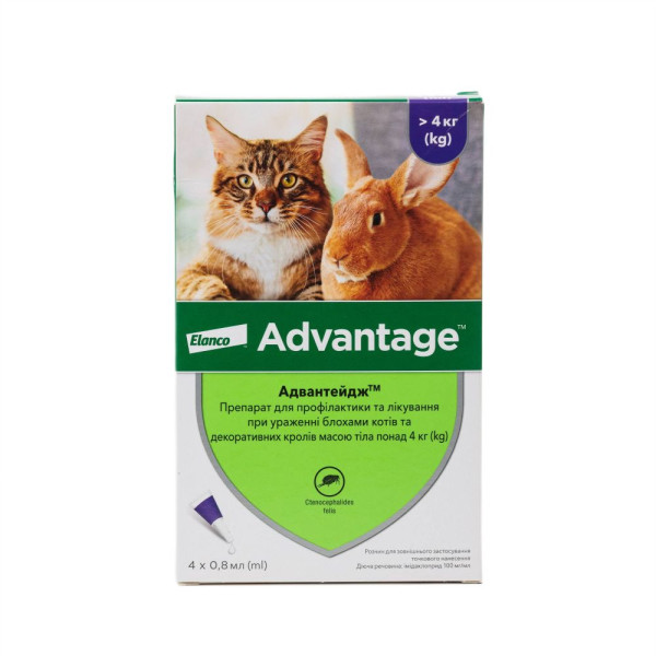 Краплі на холку для котів Elanco Bayer Advantage від 4 кг, 4 шт