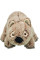 Іграшка для собак Trixie Koala 25 см