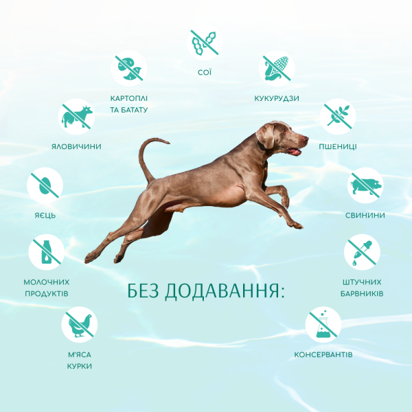 Cухий беззерновий корм для собак усіх порід Optimeal Beauty Fitness Healthy Weight & Joints 10 кг (морепродукти)