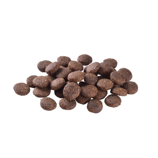 Сухий корм для цуценят Brit Care Dog Grain-free Junior Large Breed 1 кг - лосось