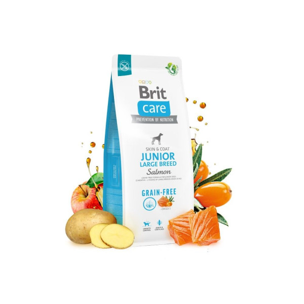 Сухий корм для цуценят Brit Care Dog Grain-free Junior Large Breed 3 кг - лосось