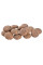 Сухий корм для собак Brit Care Dog Sustainable Adult Large Breed 12+2 кг - курка та комахи