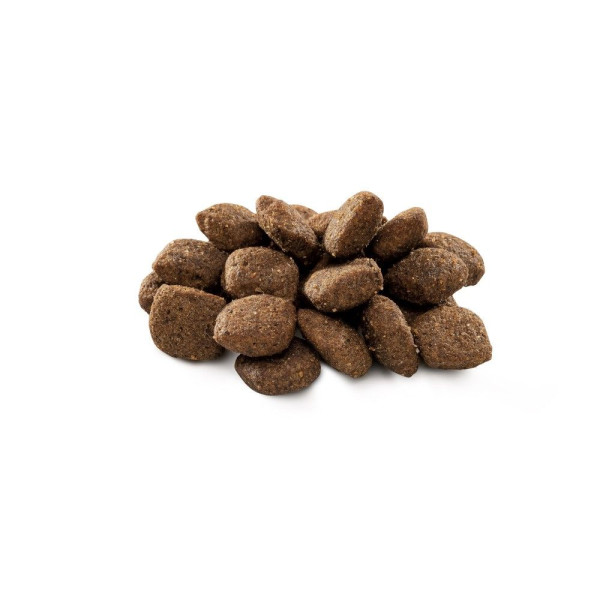 Сухий корм для собак Brit Premium Dog Sensitive 3 кг - ягня та рис