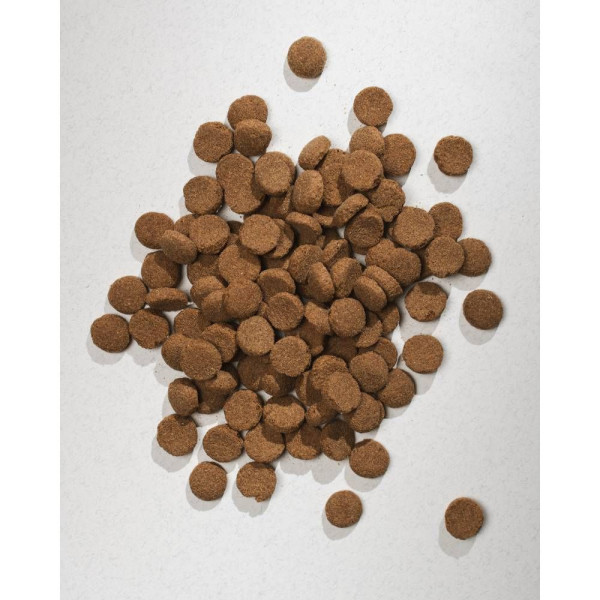 Сухий корм для собак Half&Half Large Breed 12 кг - яловичина