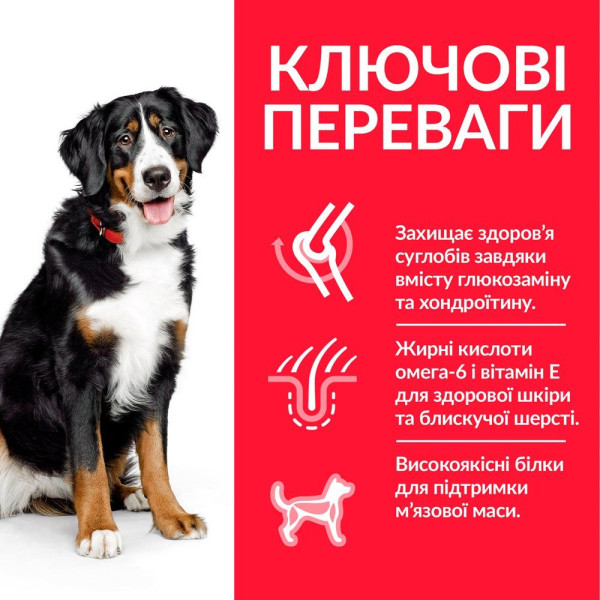 Сухий корм для собак Hill’s Science Plan Adult Large Breed 14 кг - курка