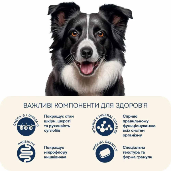 Сухий корм для собак Home Food Adult Medium/Maxi 1,6 кг - ягня та рис