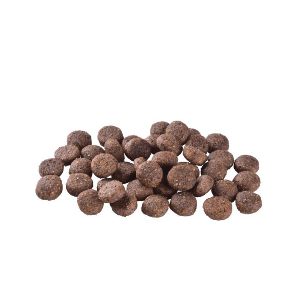 Сухий корм для собак Brit Care Dog Grain-free Adult 1 кг - лосось