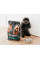 Сухий корм для собак Savory Small Breed 8 кг - ягня