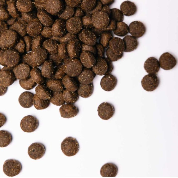 Сухий корм для собак Savory All Breed 1 кг - кролик та качка